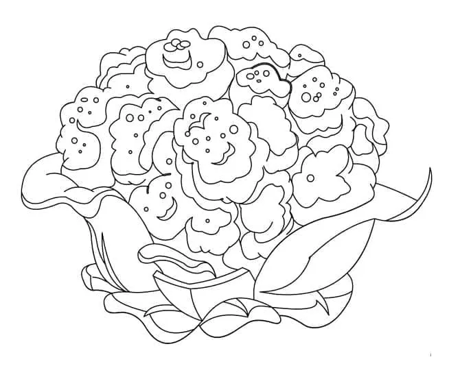 Chou Fleur 18